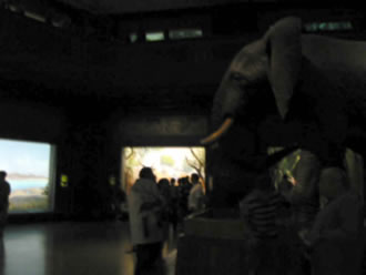 07072905.jpg