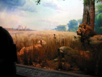 07072907.jpg