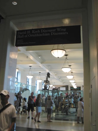 07072909.jpg