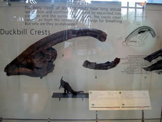 07072911.jpg